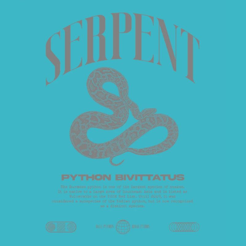 Python Birman Moderne Reptile Keeper Streetwear