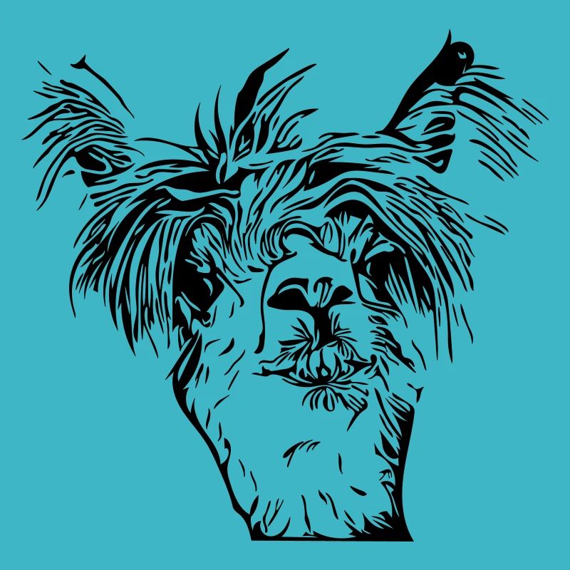 Visage drôle de lama alpaga
