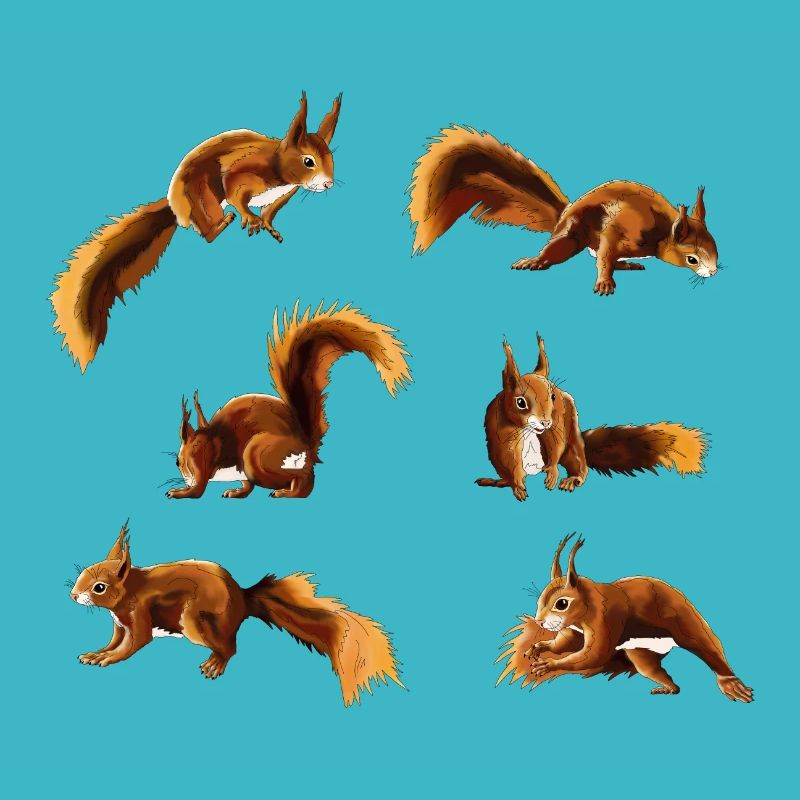Eichhörnchen/Squirrel