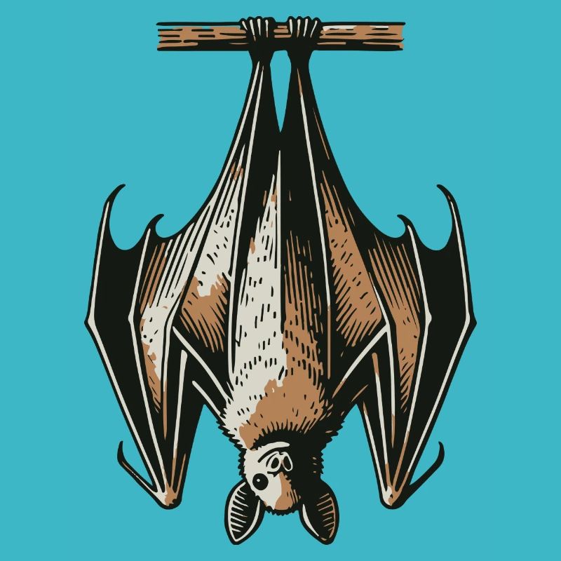Fledermaus