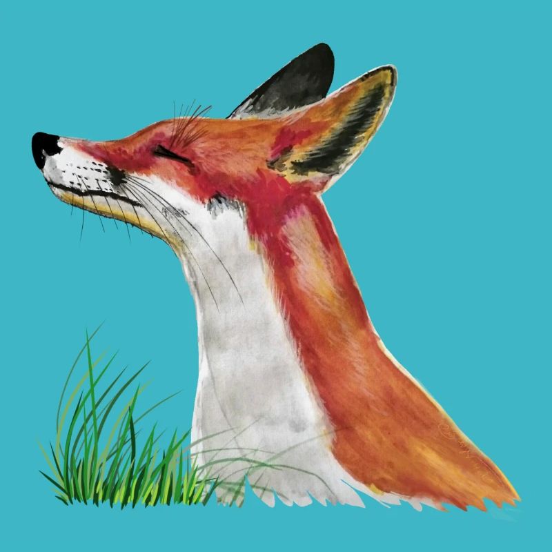 Le petit renard