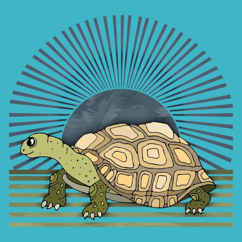 Tortoise
