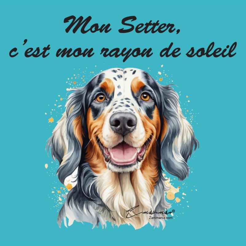 Setter rayon de soleil