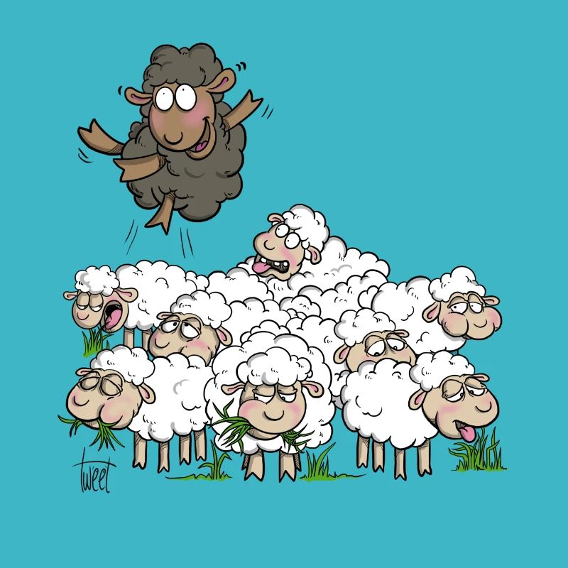 Mouton noir