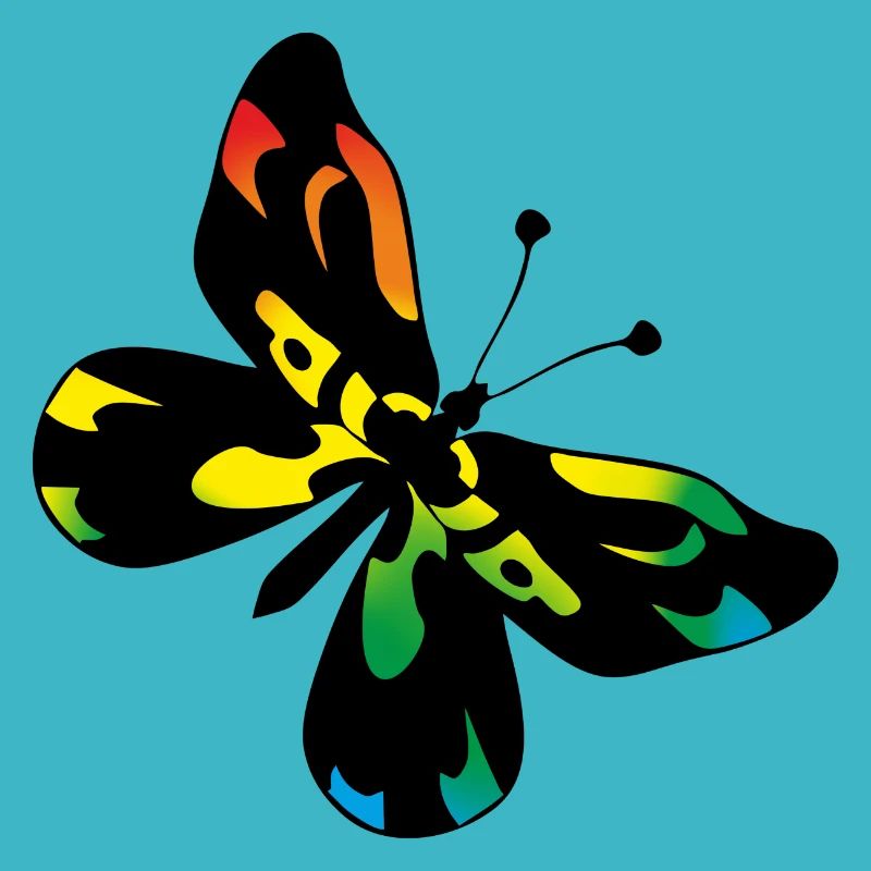 Papillon