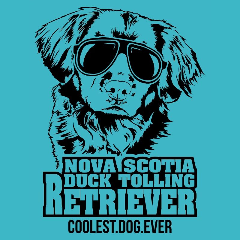 NOVA SCOTIA DUCK TOLLING RETRIEVER chien le plus cool