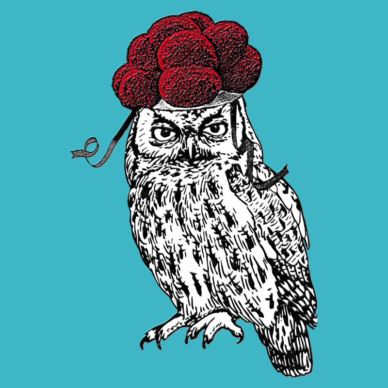 🦉 Eule mit Bollenhut 🌳
