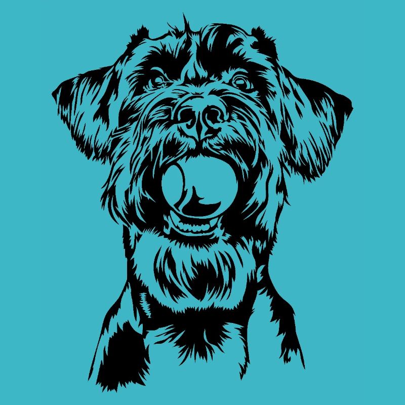 Schnauzer géant Schnauzer chien chien Wilsigns
