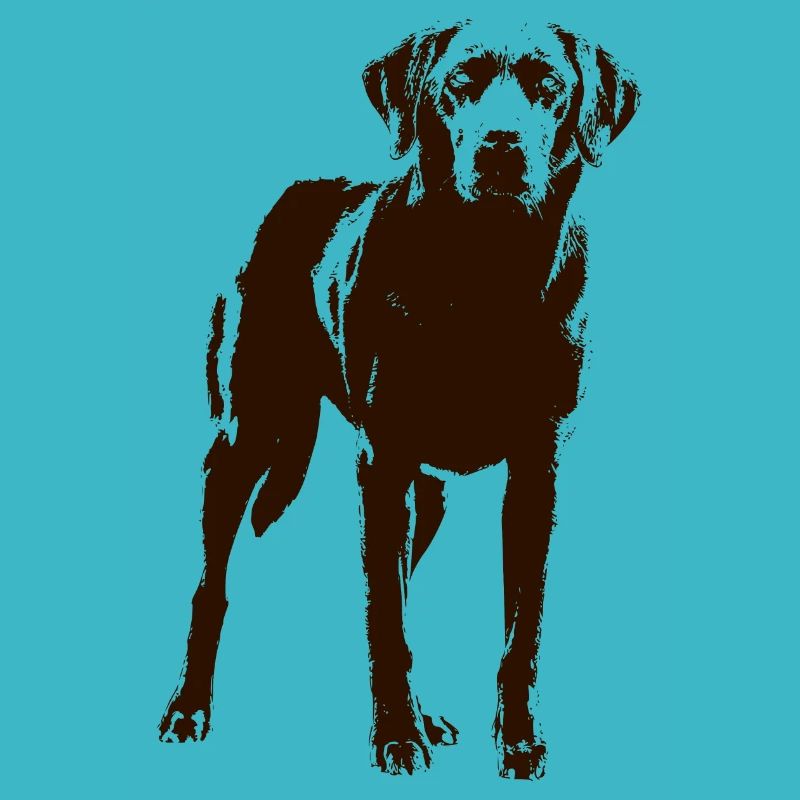 Labrador