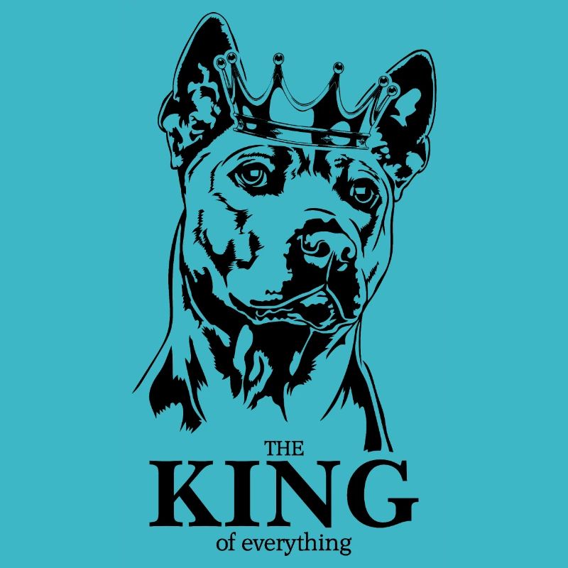 Thai Ridgeback King of everything Hunde Wilsigns