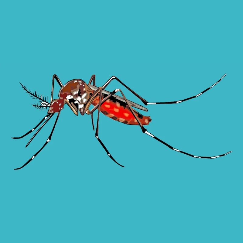 Mosqui 2