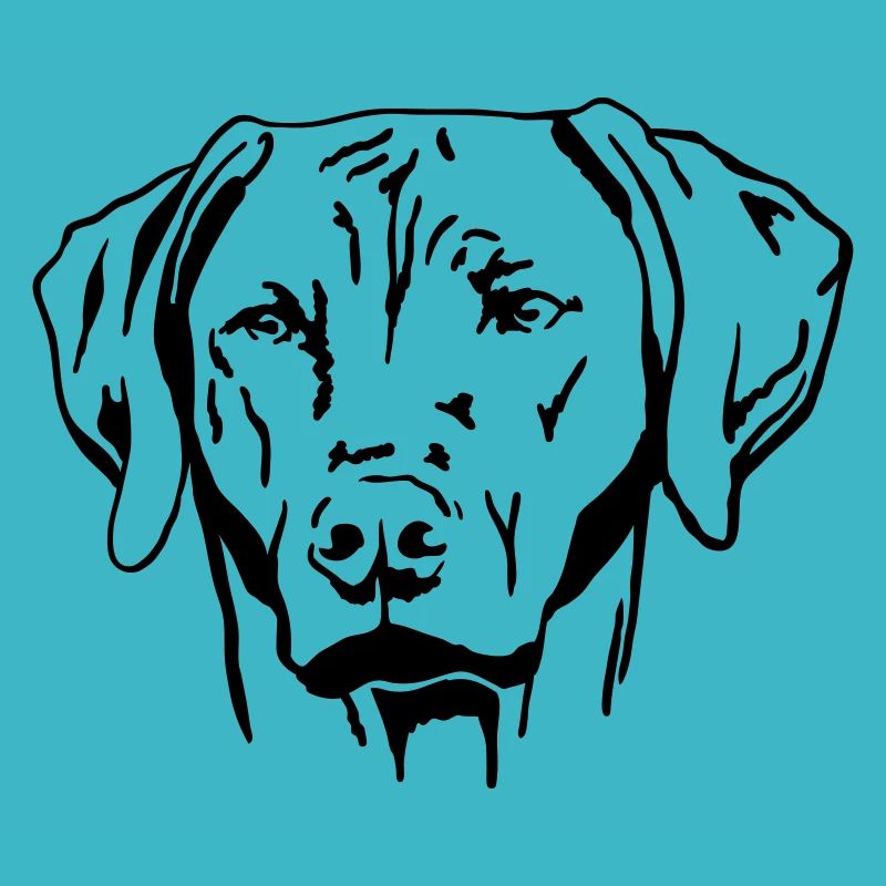 Rhodesian Ridgeback