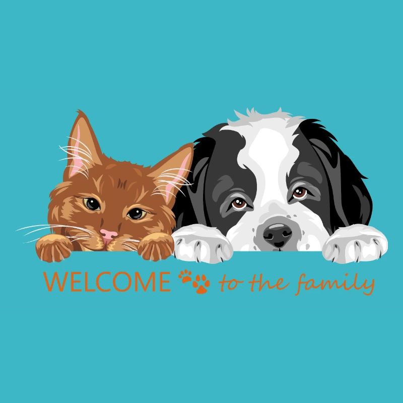 Chat roux et chien Saint-Bernard