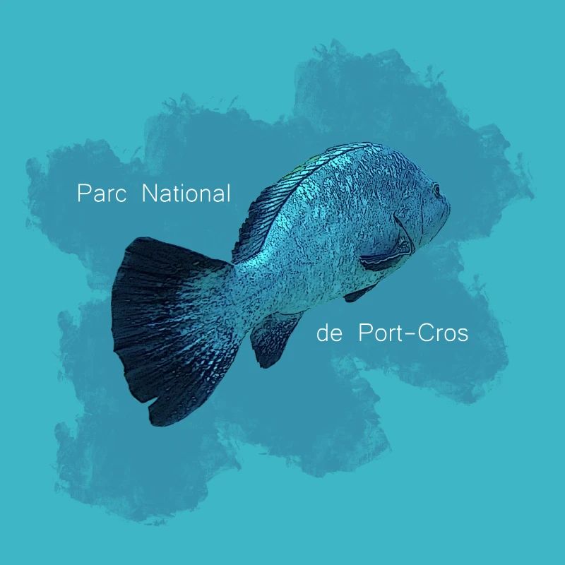 J'peux pas, j'ai plongée sur à Port Cros.
