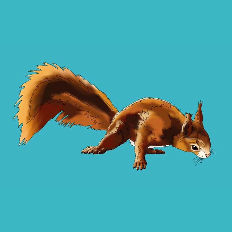 Eichhörnchen 4