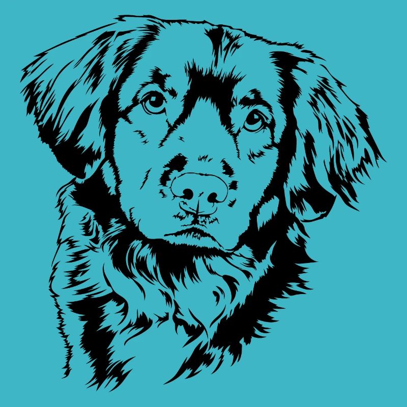 NOVA SCOTIA DUCK TOLLING RETRIEVER Wilsigns Hunde