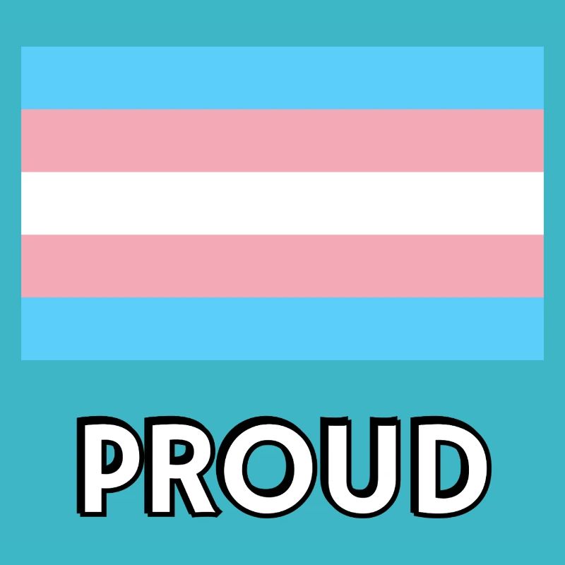PROUD Trans-Flagge
