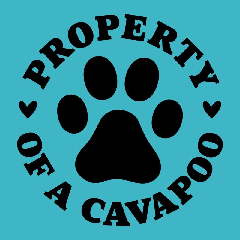 Eigentum eines Cavapoo