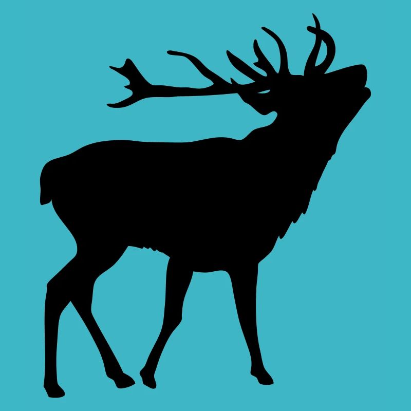 Hirsch