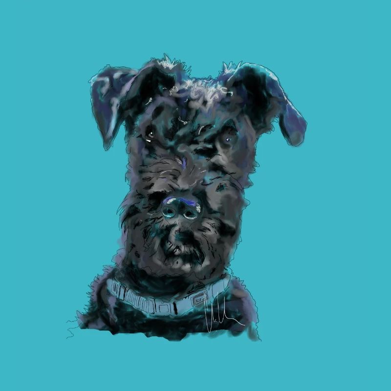 Kerry Blue Terrier