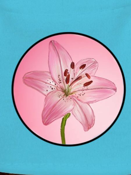LilyDream