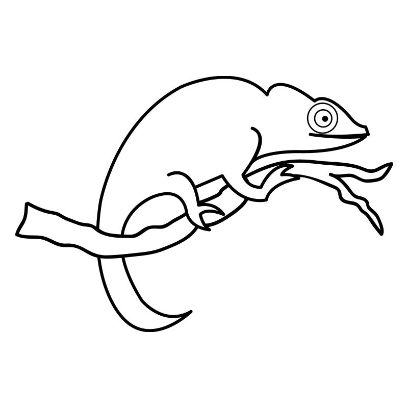 chameleon_01