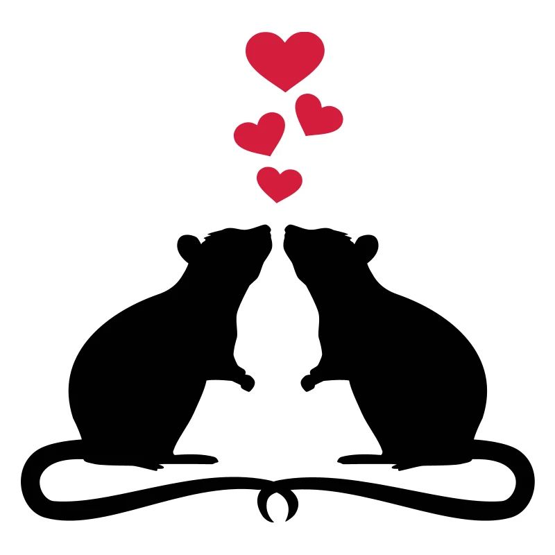 Rat