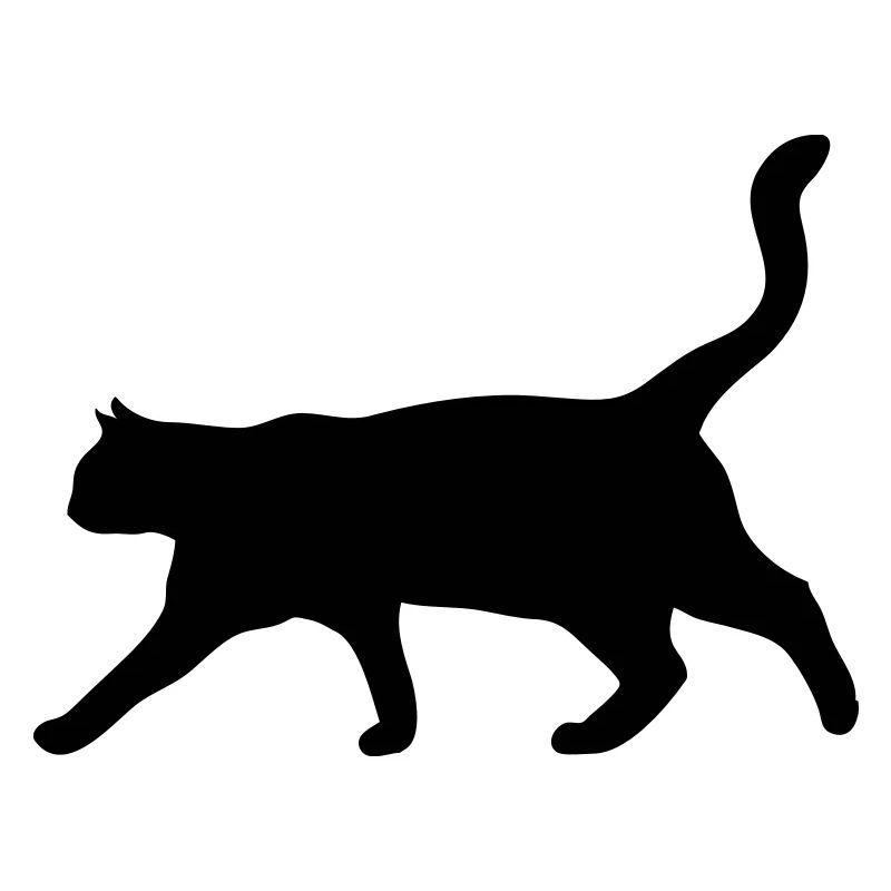 Katzen - Katze schleichend