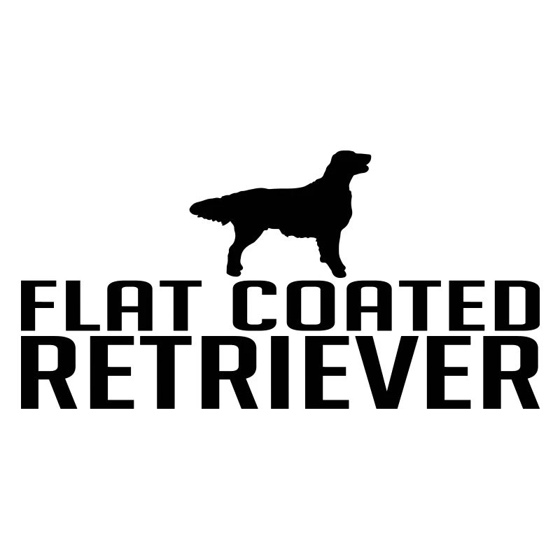 FLAT COATED RETRIEVER dog