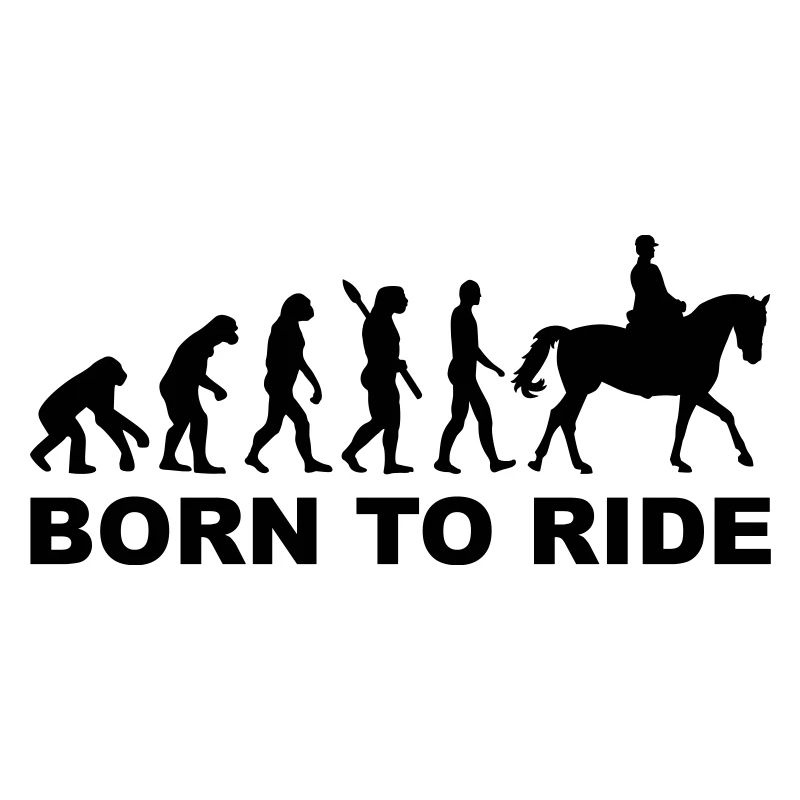 Évolution aller à cheval