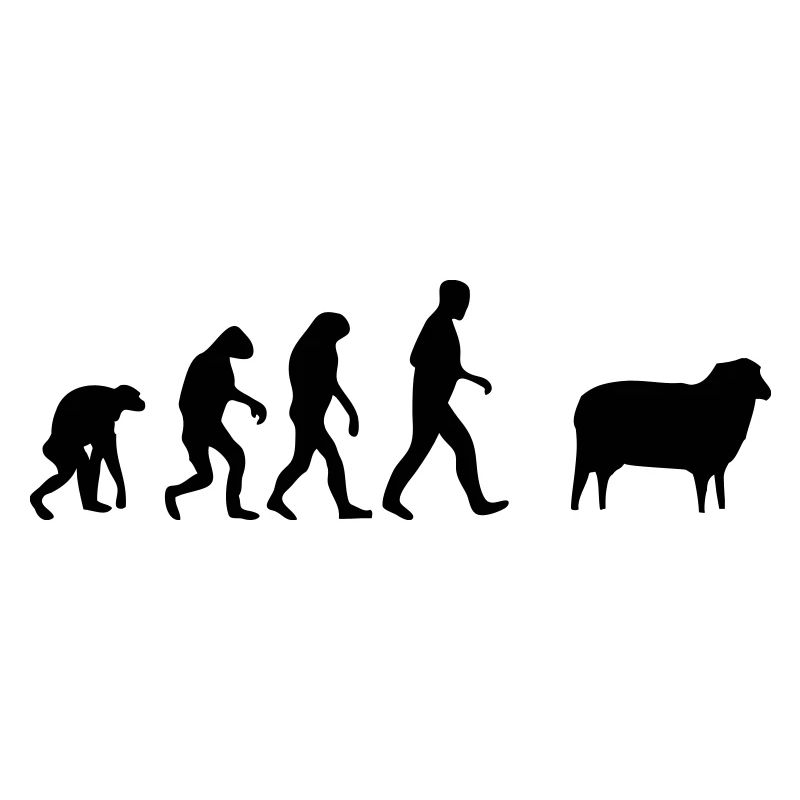 mouton evolution