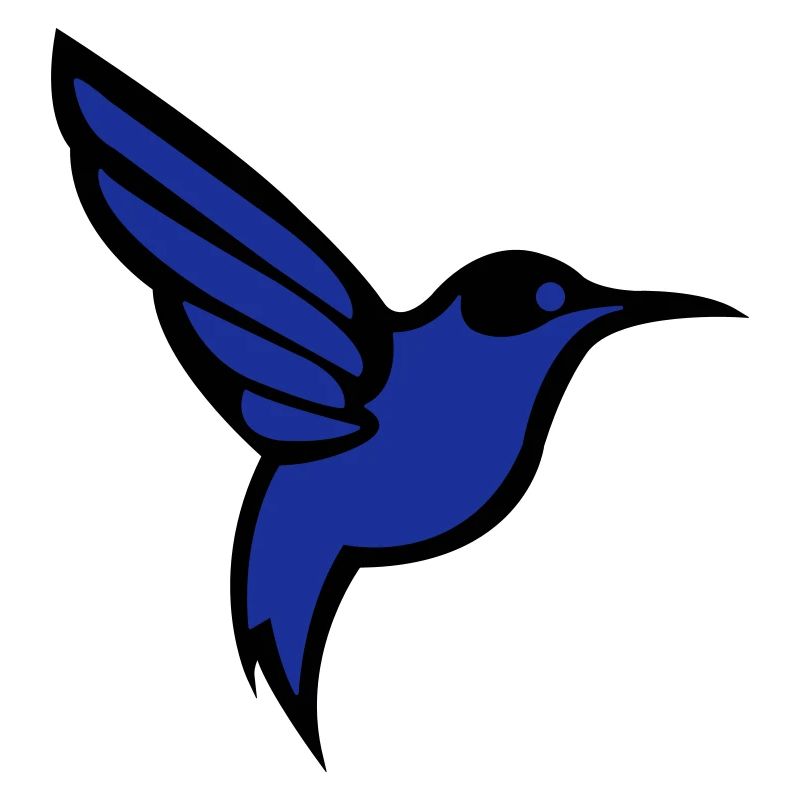 Hummingbird Bird