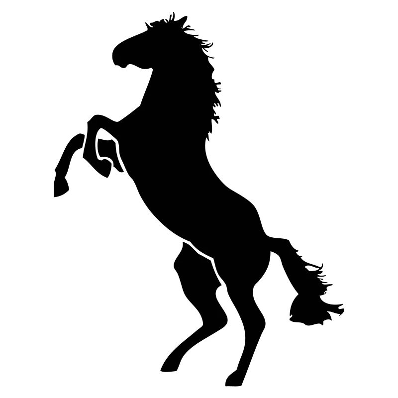 Pferd - Horse