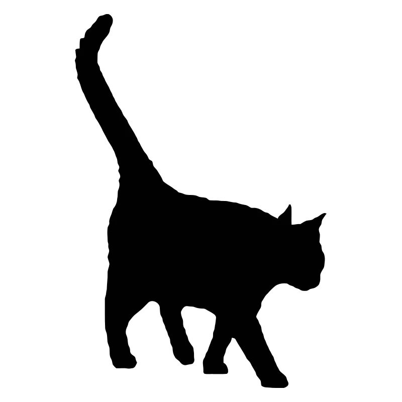 le chat noir