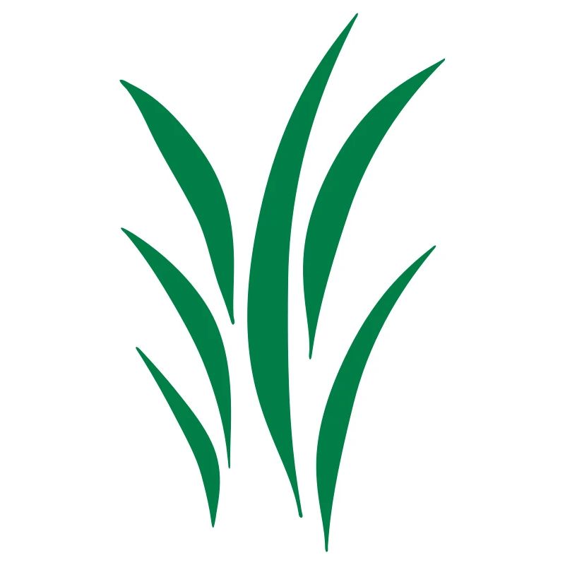 lawn