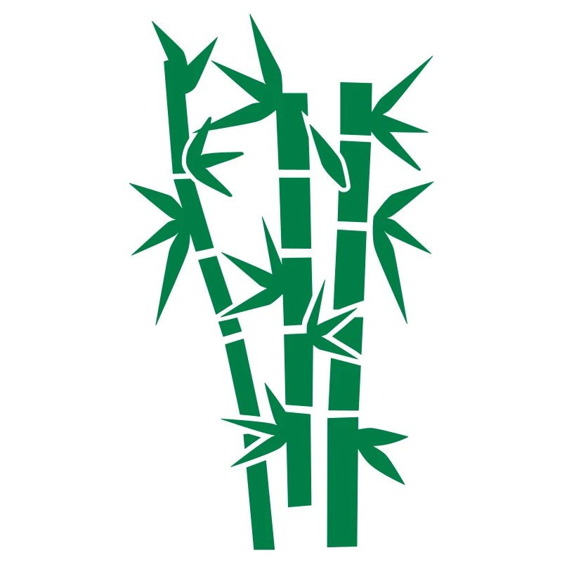 Bamboo