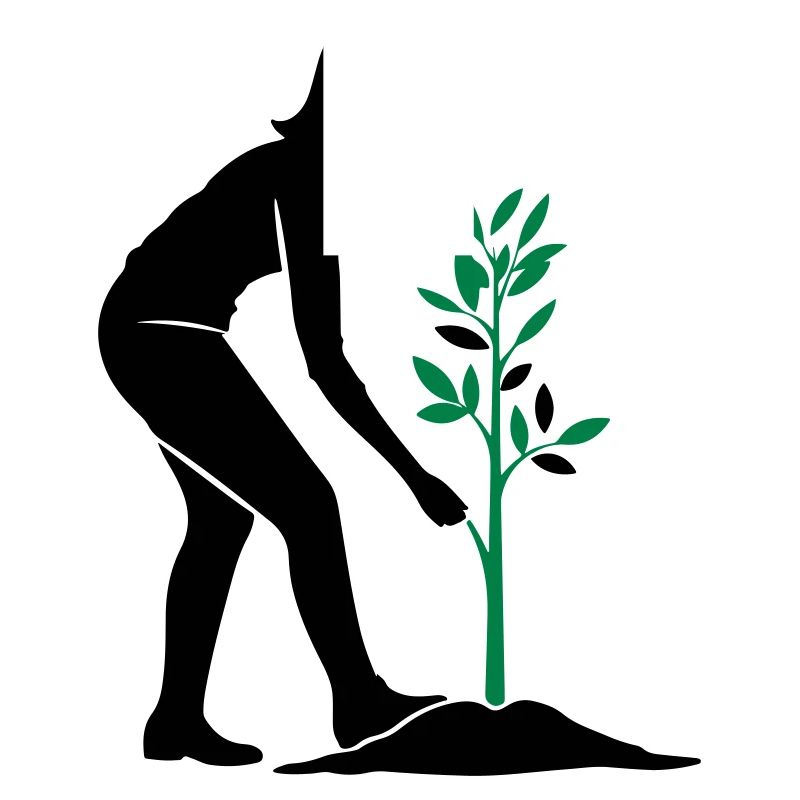 Tree Plants Nature Conservation