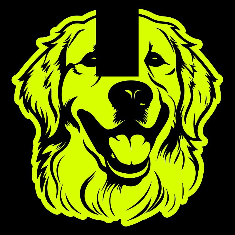 Golden Retriever Hund Kopf