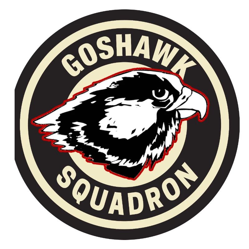 Conception de l’insigne de l’escadron Goshawk