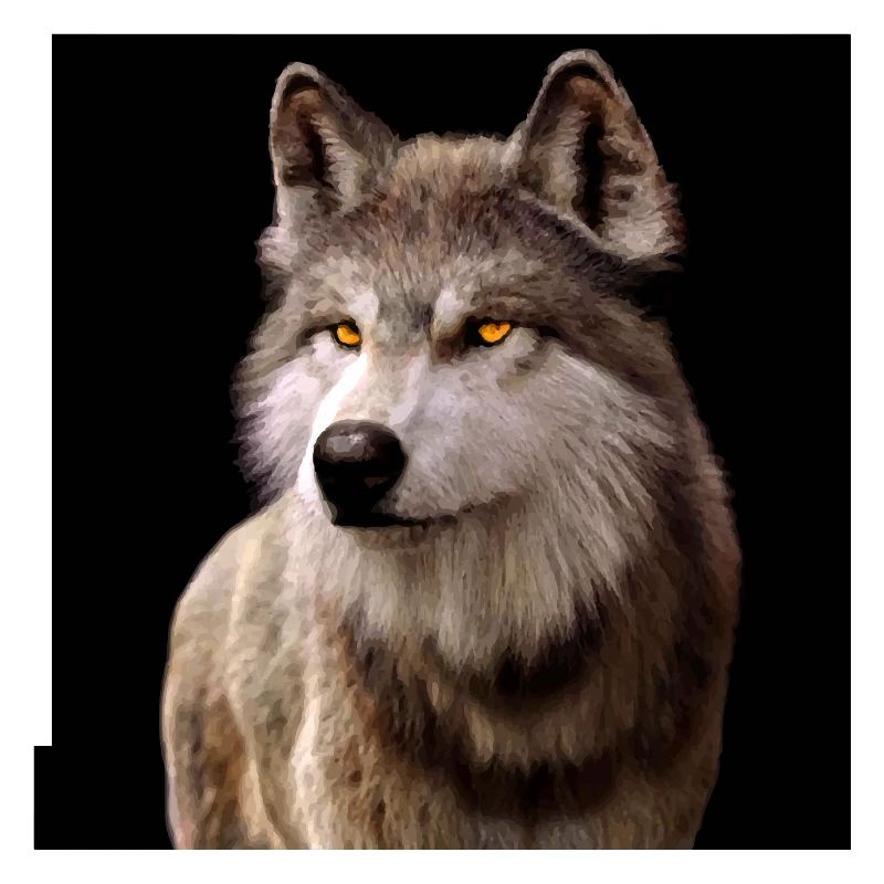 Wolfsblick Bernstein im Dunkel