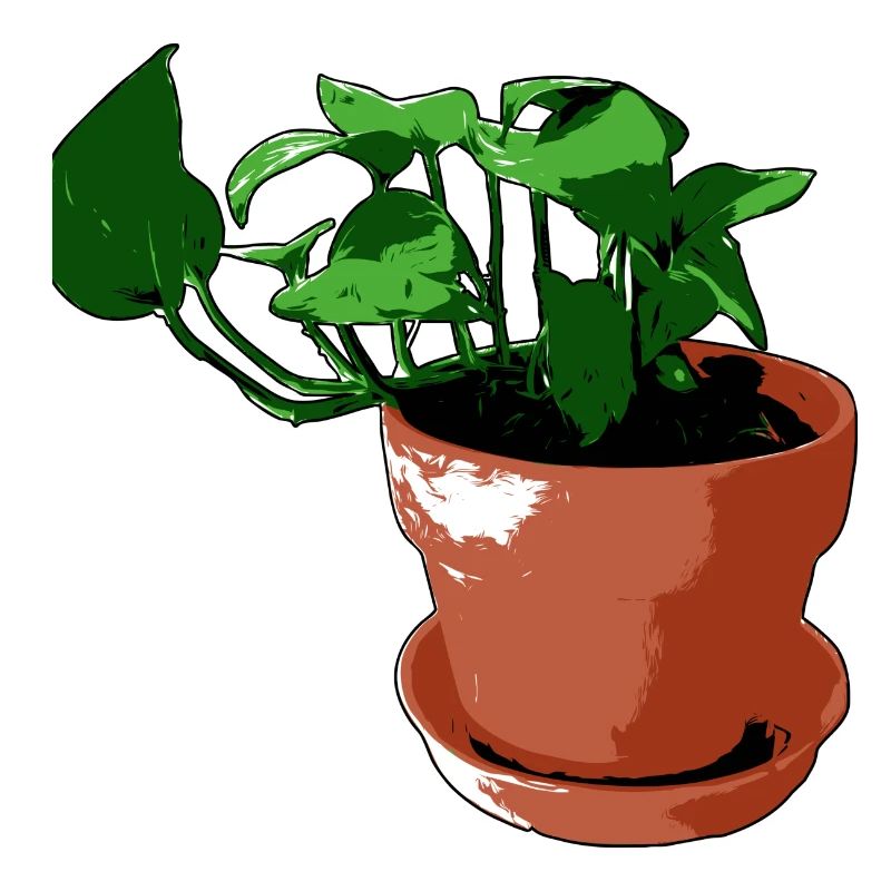 Plante