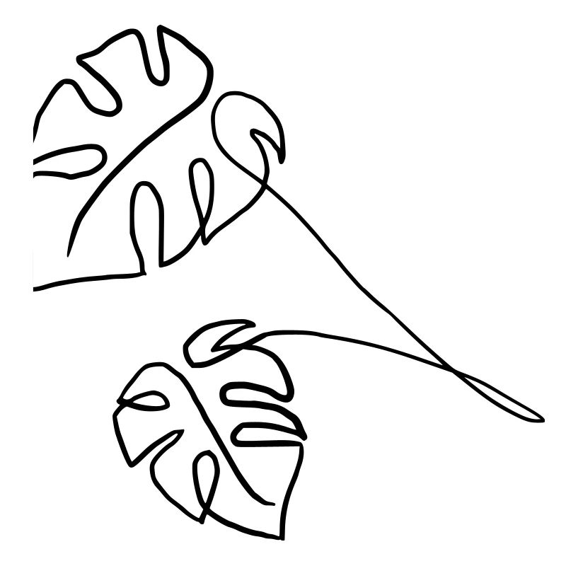 Monstera