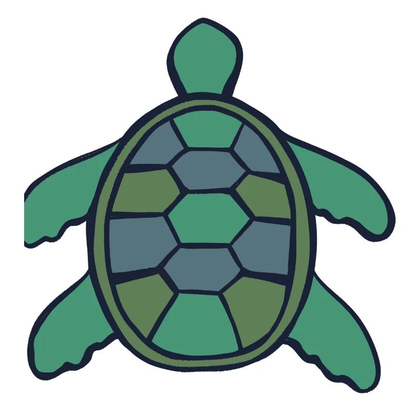 Geometric Shell Turtle