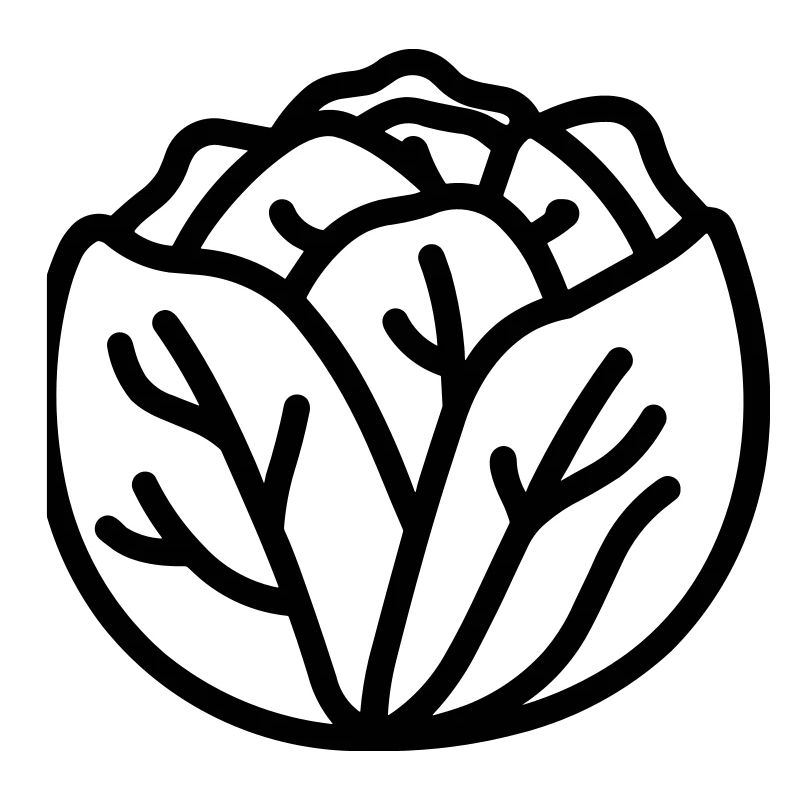 cabbage
