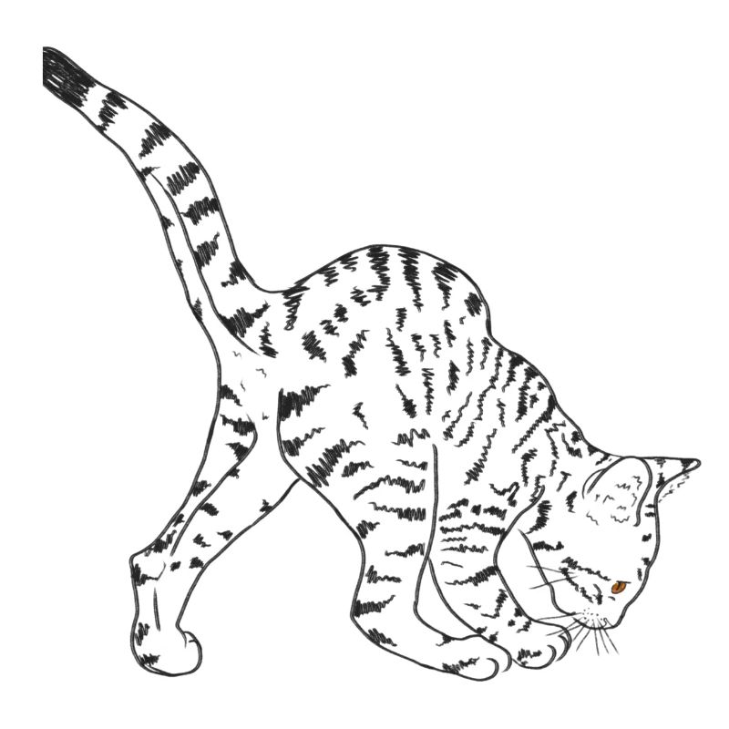 Chat noir