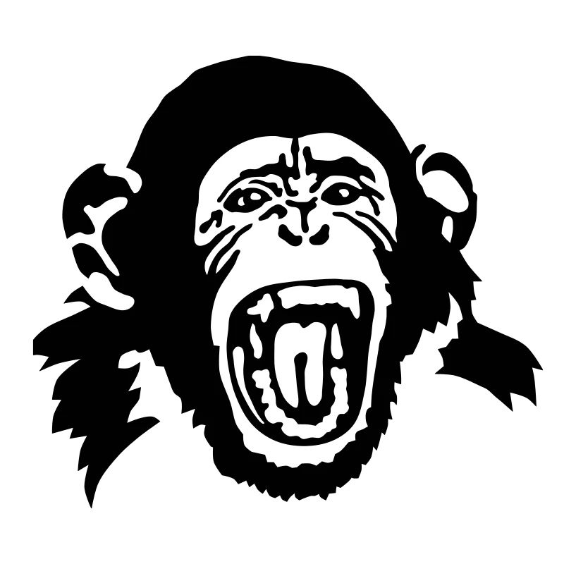 monkey