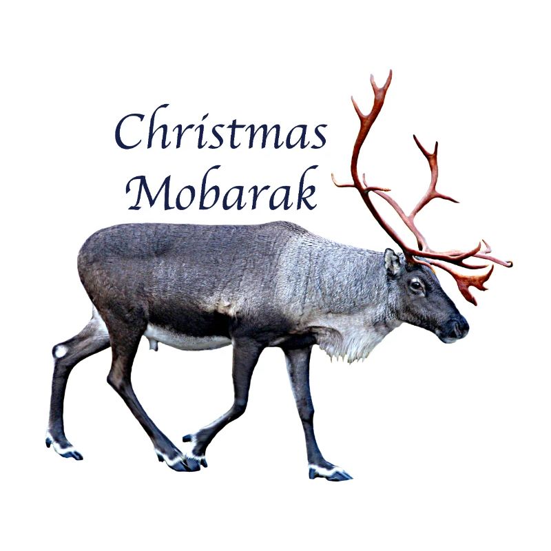 Noël Mobarak