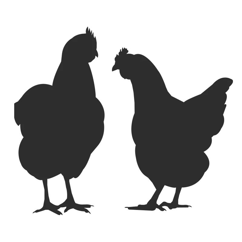 Zwei Hühner Silhouette