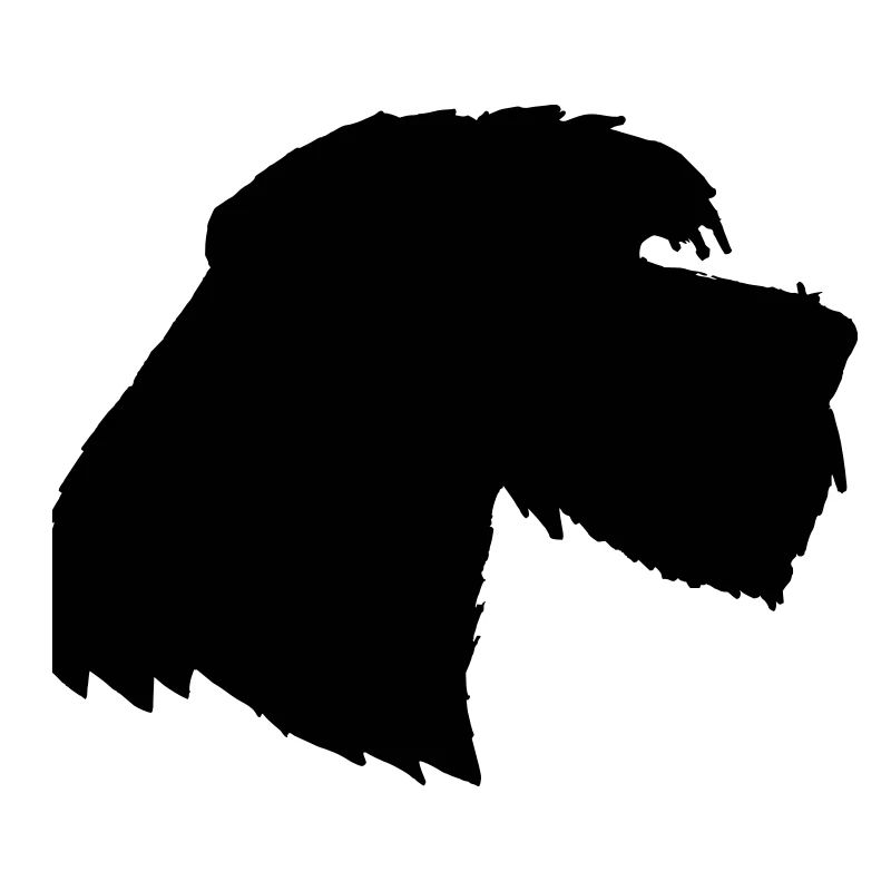 Chien Géant Schnauzer 3, Schnauzer schön