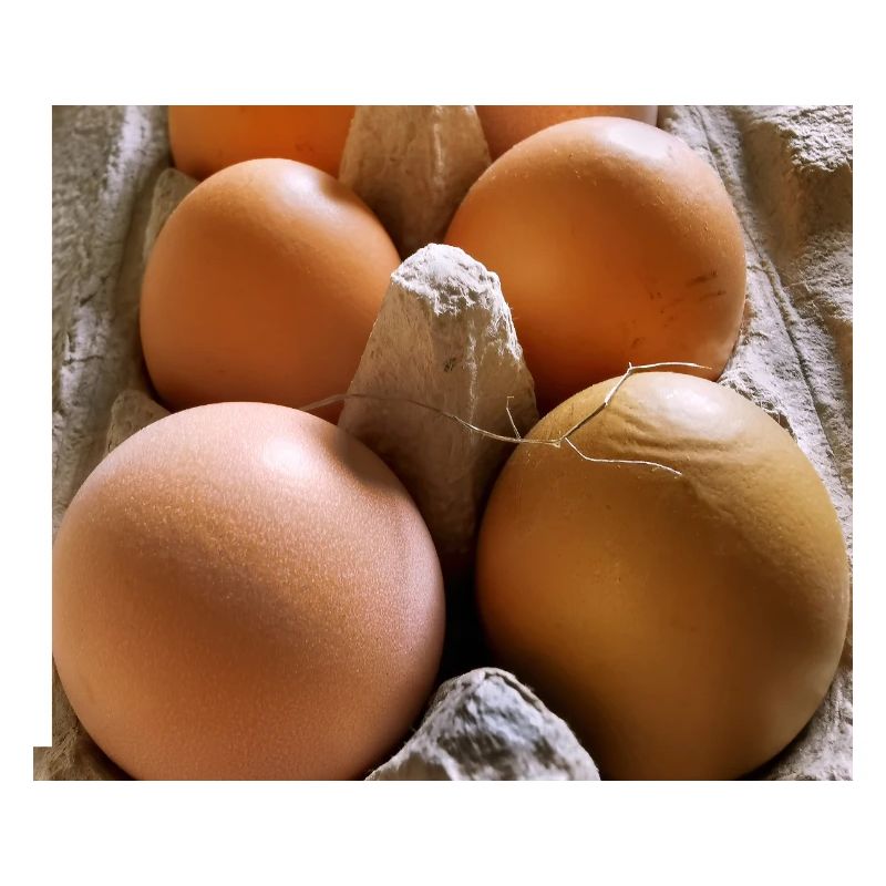 Eggs